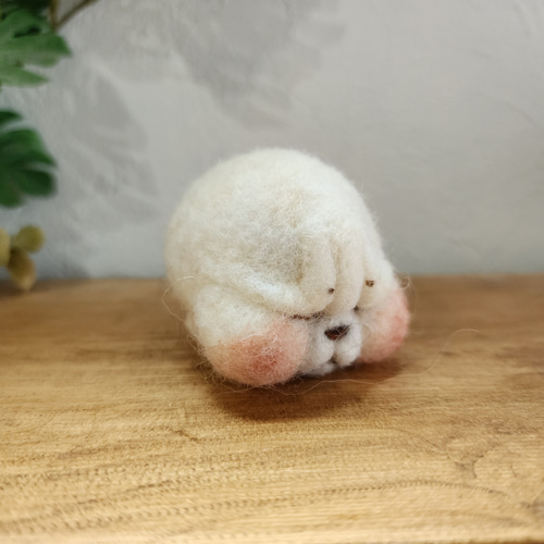 しかめっ面 アザラシさん 羊毛フェルト mokochico ﾓｺﾁｺ 通販