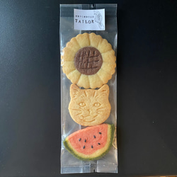  第2張的照片