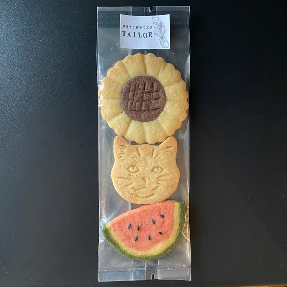  第2張的照片