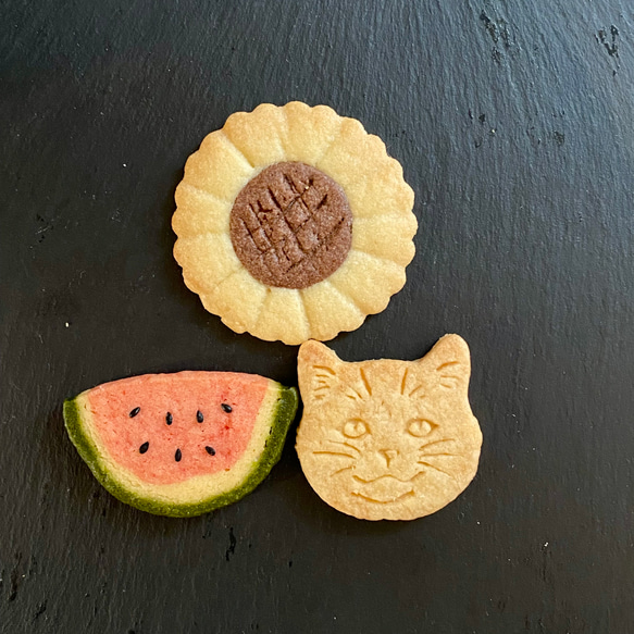  第1張的照片