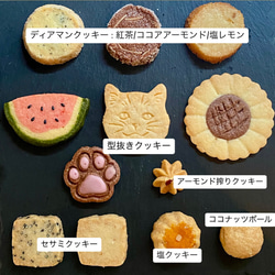  第2張的照片