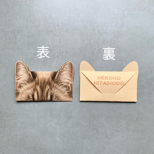 猫の額ほどミニ封筒 2枚目の画像