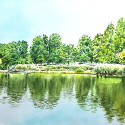 絵画 水彩画 風景画 画題「初夏の川」 絵画 yamakasumi56 通販