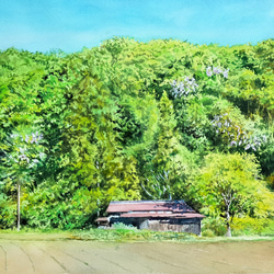 絵画 水彩画 風景画 画題「二本のメタセコイア」 絵画