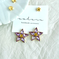 全2色 キラキラ ビーズ 刺繍 × ロングタッセルピアス/イヤリング