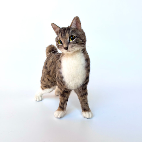 オーダー】羊毛フェルト うちの子 猫 シンガプーラ アビシニアン