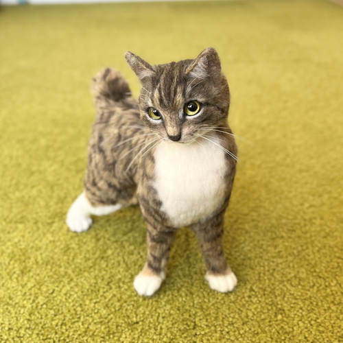 オーダー】羊毛フェルト うちの子 猫 シンガプーラ アビシニアン