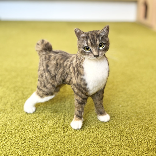 オーダー】羊毛フェルト うちの子 猫 シンガプーラ アビシニアン
