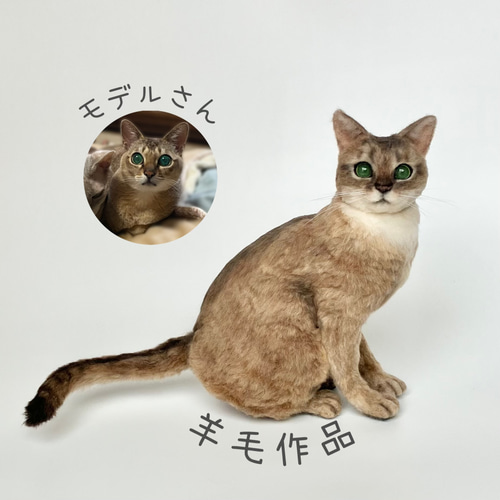 オーダー】羊毛フェルト うちの子 猫 シンガプーラ アビシニアン