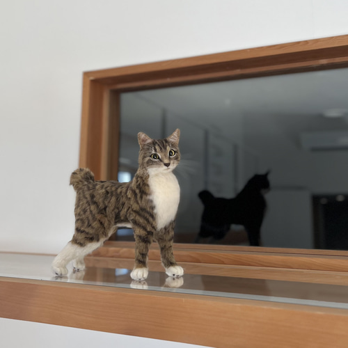 オーダー】羊毛フェルト うちの子 猫 シンガプーラ アビシニアン