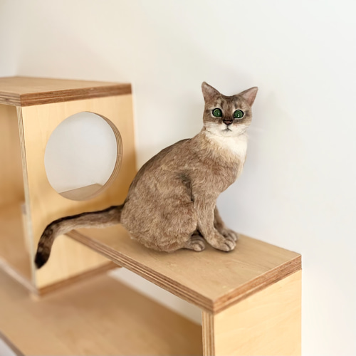 羊毛フェルト 猫 ハンドメイド ジン オーダー】羊毛フェルト うちの子 猫 シンガプーラ アビシニアン