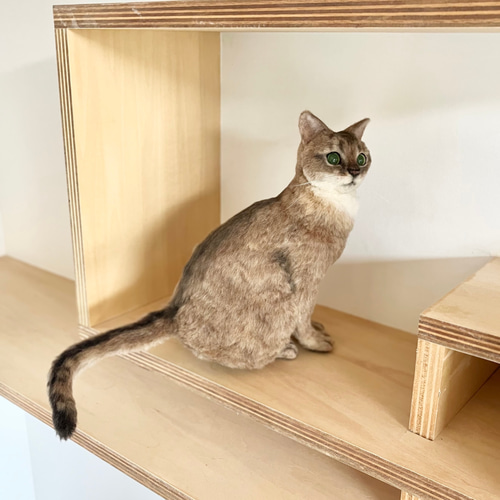 オーダー】羊毛フェルト うちの子 猫 シンガプーラ アビシニアン