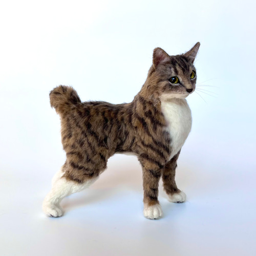 オーダー】羊毛フェルト うちの子 猫 シンガプーラ アビシニアン