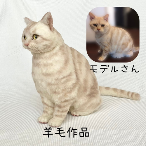 オーダー】羊毛フェルト うちの子 猫 シンガプーラ アビシニアン