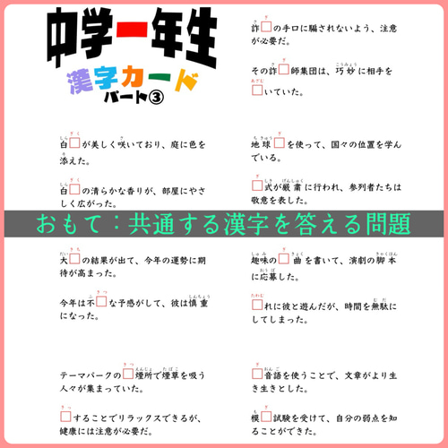 中学生で習う漢字カード フルパッケージ 暗記カード 中学校 テスト対策
