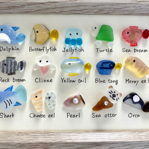 24種シーグラスアート☆No380 図鑑　海の生き物　父の日　ギフト　プレゼント 海の生き物2024 #シーグラスアート
