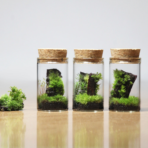 苔むす木工 カピバラ 2025年最新】苔むす木工の人気アイテム - メルカリ