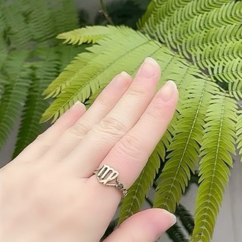 星空を指先に纏う：あなただけのゾディアックリング 指輪・リング