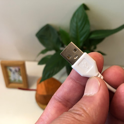 鬼灯ライト（USBタイプ） 4枚目の画像