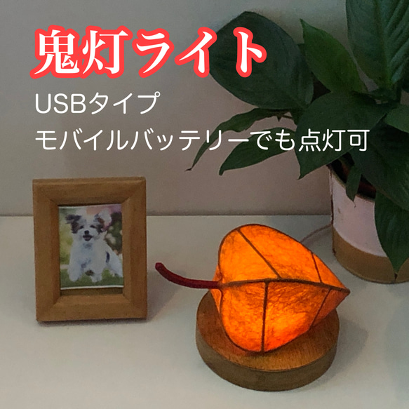 鬼灯ライト（USBタイプ） 1枚目の画像