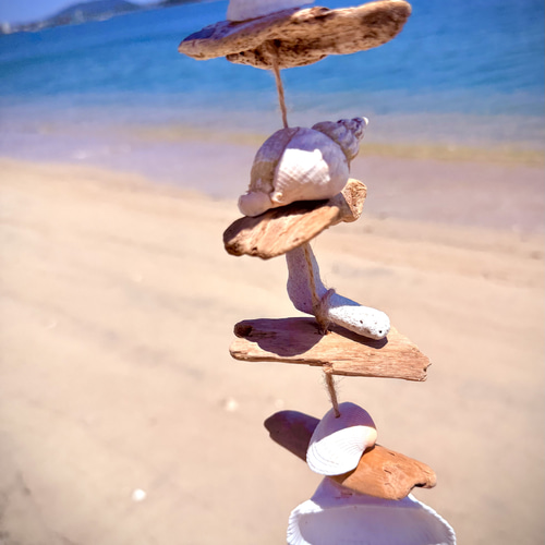 流木&シェルオーナメント/貝殻/シーグラス/サンゴ/海/夏/西海岸