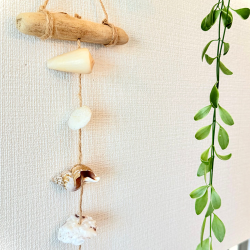 流木&シェルオーナメント/貝殻/シーグラス/サンゴ/海/夏/西海岸