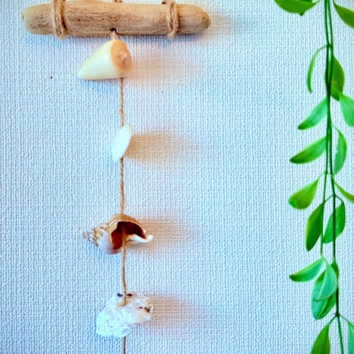 流木&シェルオーナメント/貝殻/シーグラス/サンゴ/海/夏/西海岸