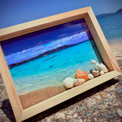 立体フォトフレーム/貝殻/シーグラス/サンゴ/海/夏/西海岸