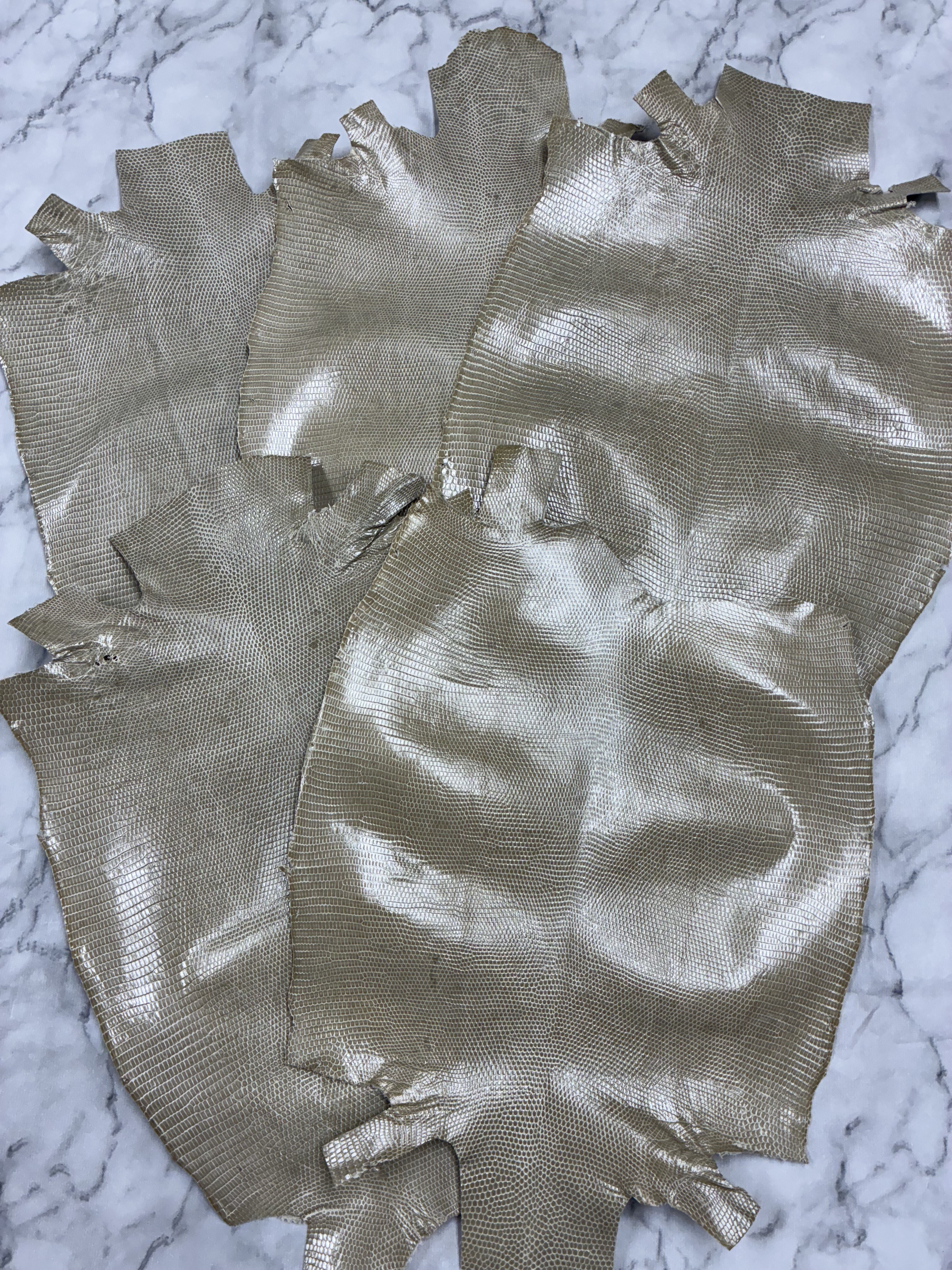 ★お買い得★リザード トカゲ革 グレージュ5枚セット L74