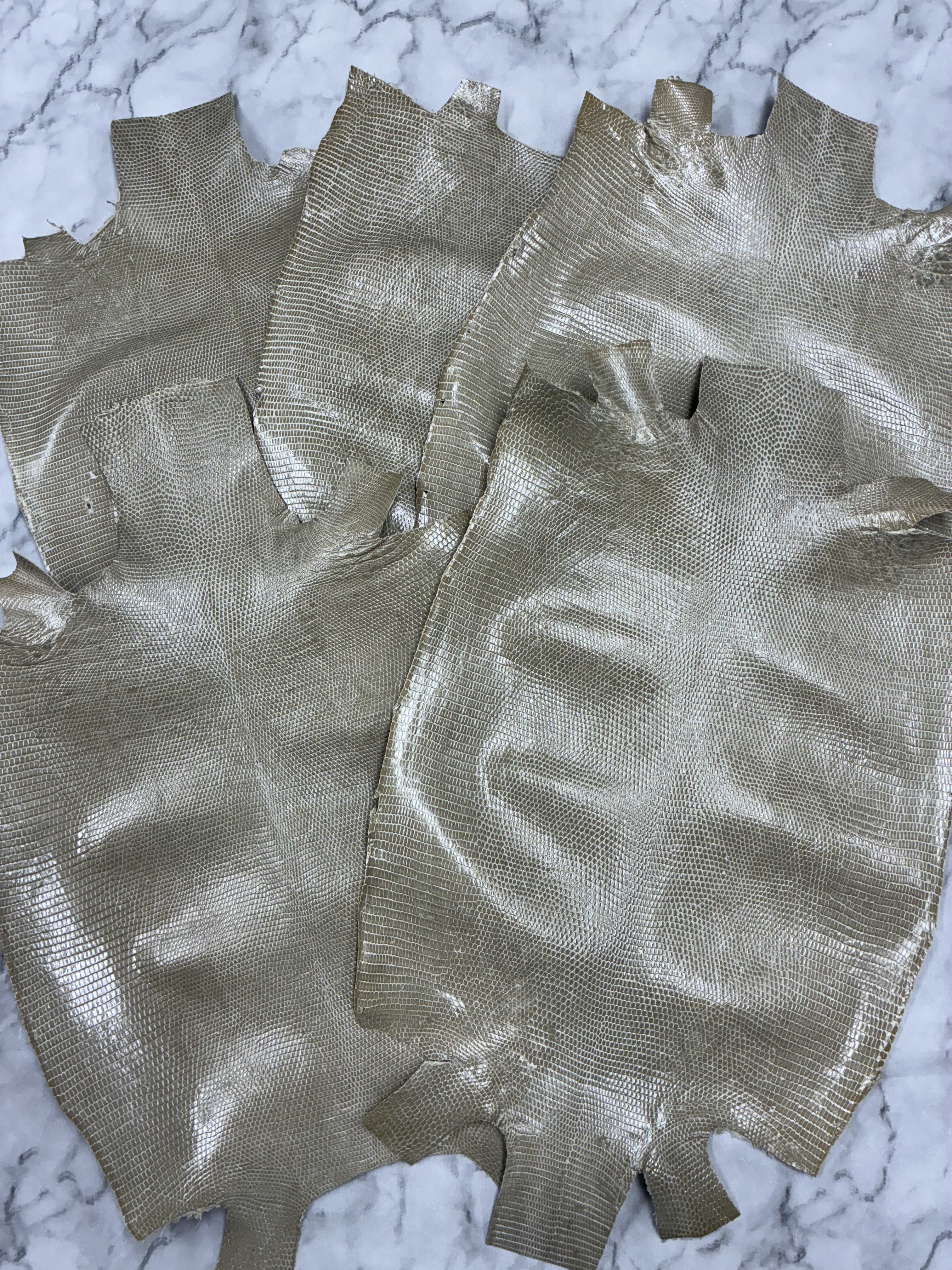 ★お買い得★リザード トカゲ革 グレージュ5枚セット L76