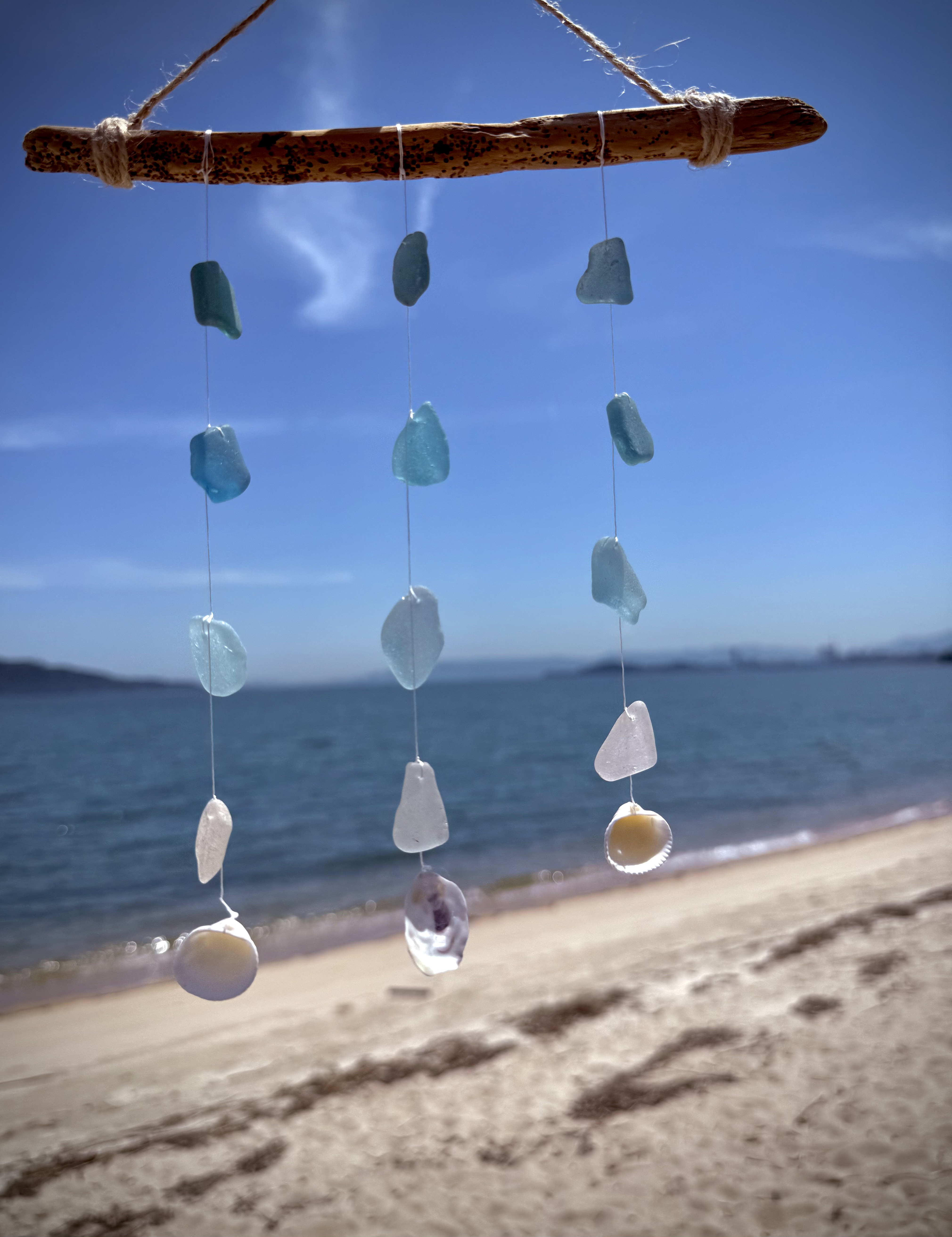 サンゴ、貝殻、シーグラス(29) サンゴ、貝殻、シーグラス(29