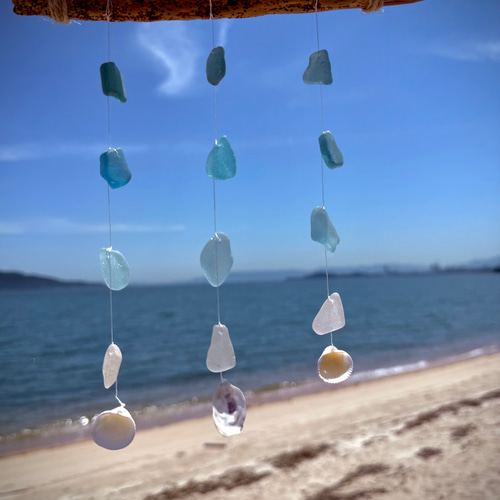 サンゴ、貝殻、シーグラス(29) サンゴ、貝殻、シーグラス(29)