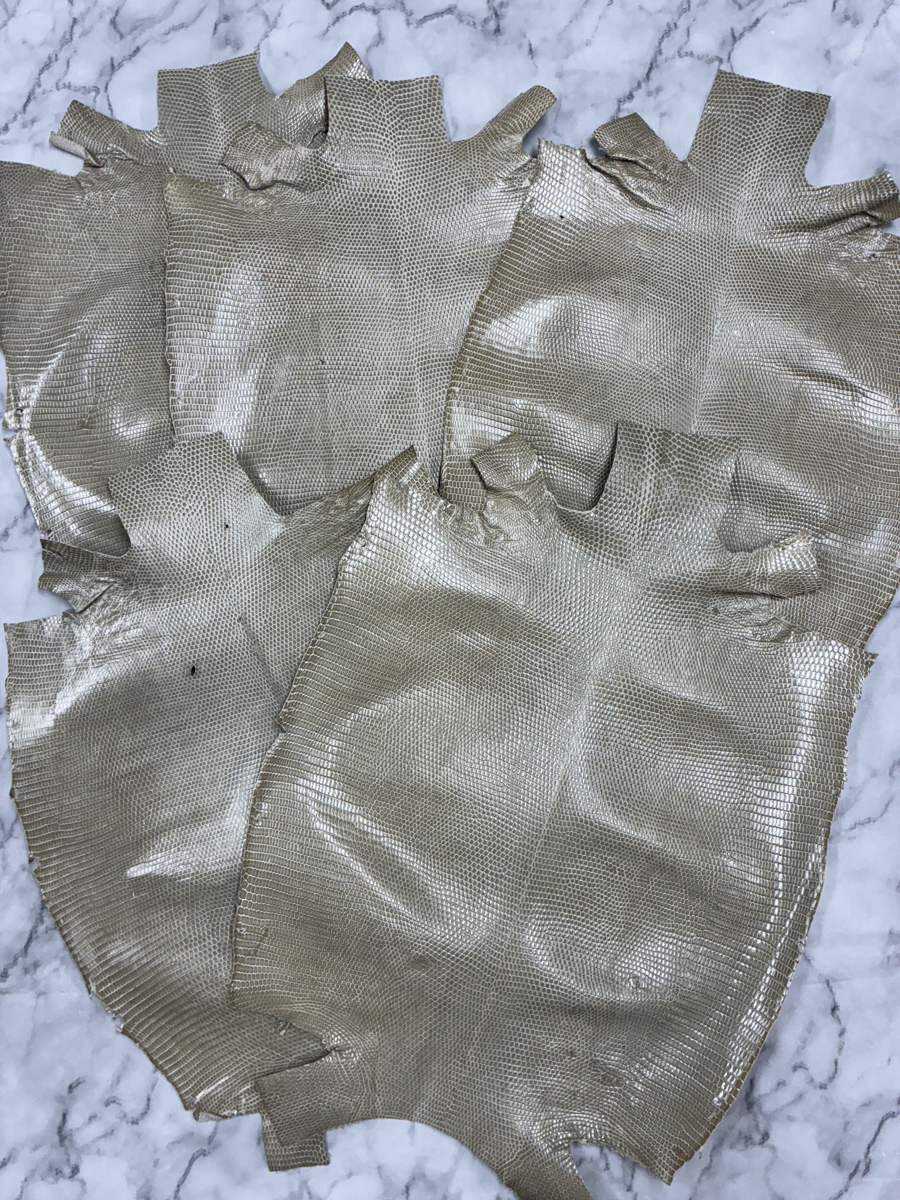 ★お買い得★リザード トカゲ革 グレージュ5枚セット L79