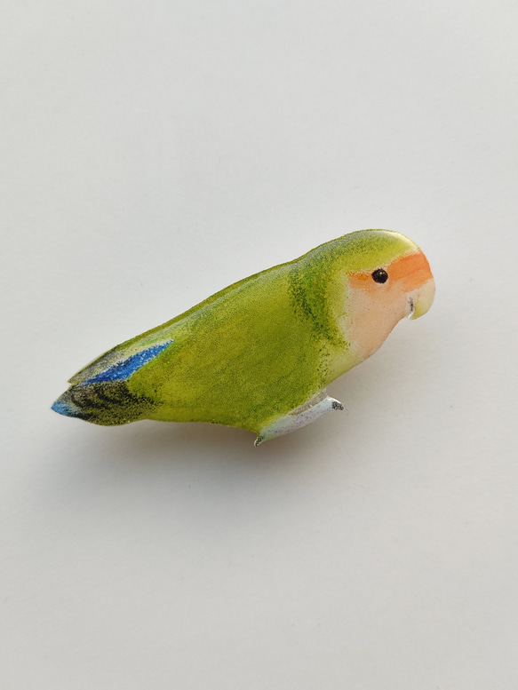 コザクラインコのブローチ 1枚目の画像
