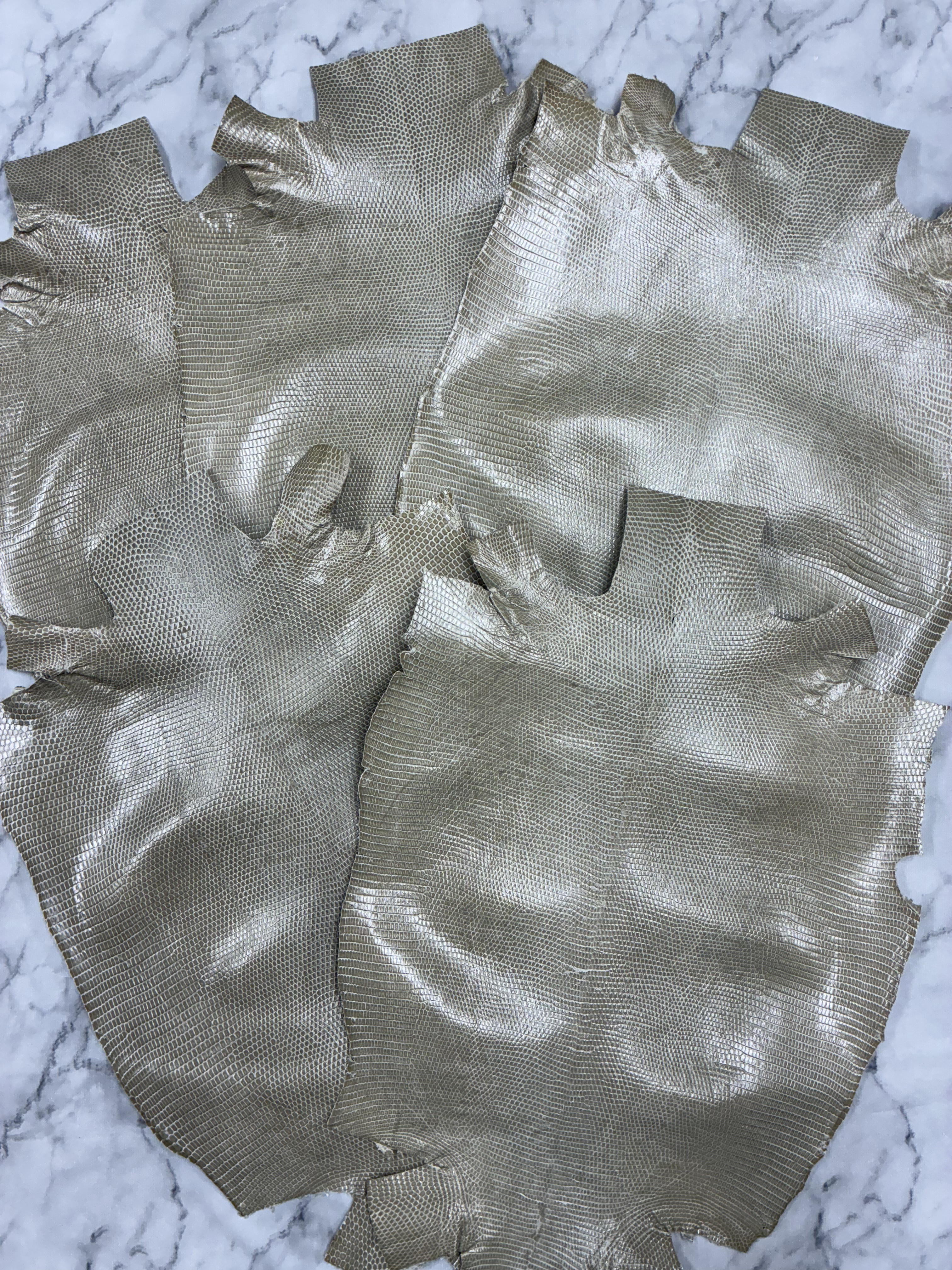 ★お買い得★リザード トカゲ革 グレージュ5枚セット L80