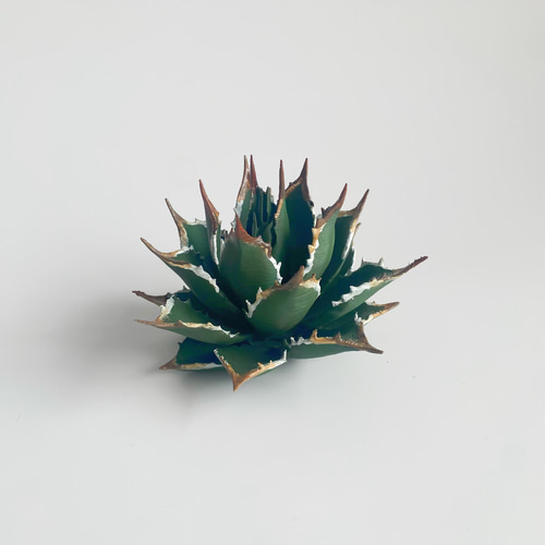 【早い者勝ち！】アガベ フィギュア 多肉植物模型 インテリア ミニチュア アガベAセット – LOBINDON