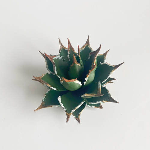 数量限定】リアル多肉植物フィギュア《アガベ》／インテリア／男前雑貨
