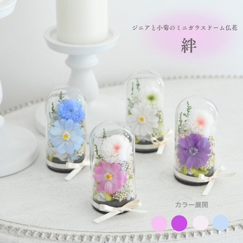 小さめガラスドーム仏花】ジニアと小菊のプリザーブドフラワードーム仏
