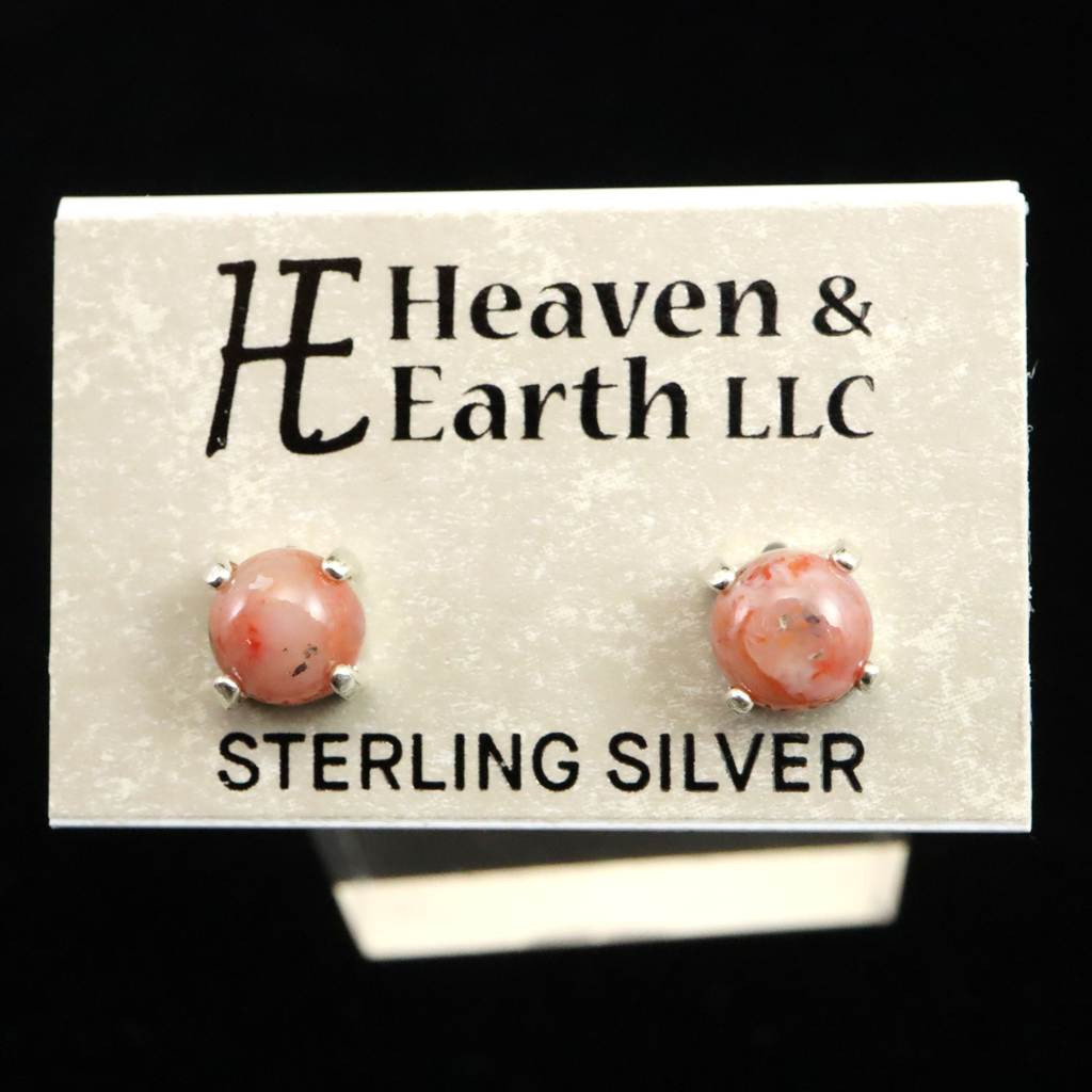 H&E社 シナゼツ  6mmラウンド ピアス   #27341