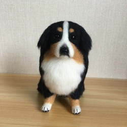 羊毛フェルト 犬 セントバーナード 羊毛フェルト masapan 通販