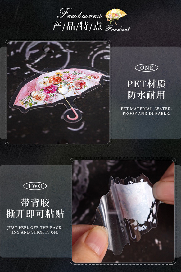  第10張的照片