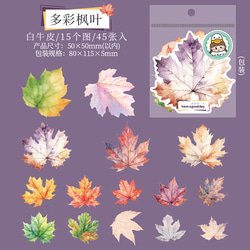  第5張的照片