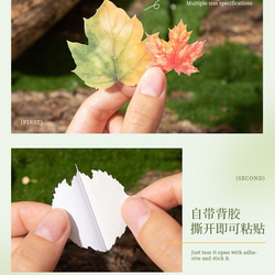  第14張的照片
