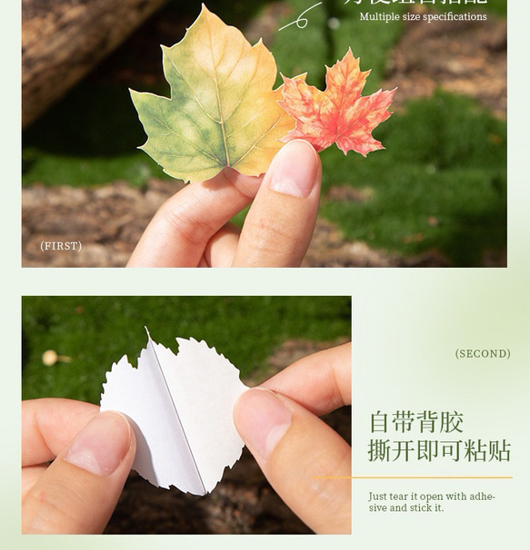  第14張的照片