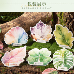  第10張的照片
