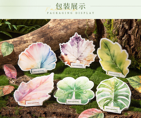  第10張的照片