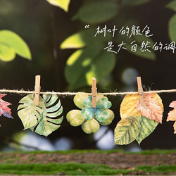  第12張的照片