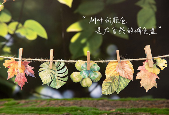  第12張的照片