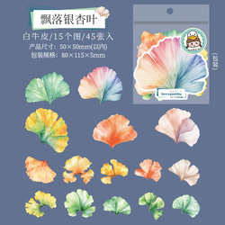  第11張的照片