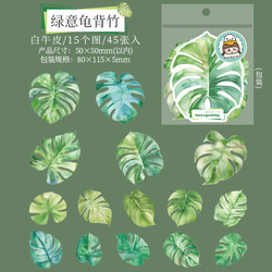  第6張的照片
